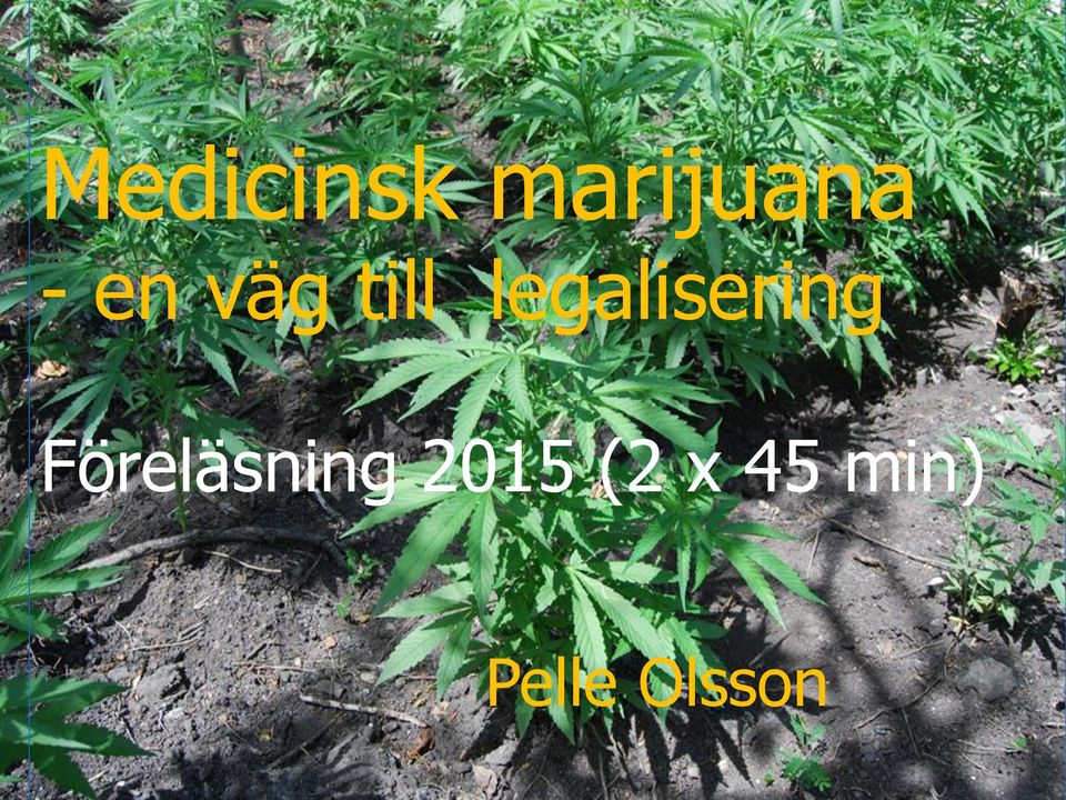 legalisering