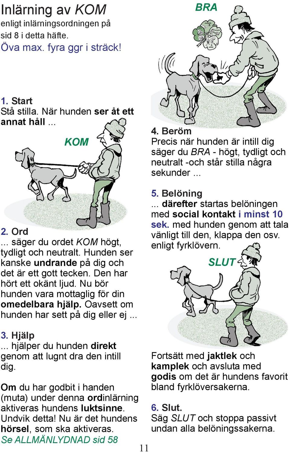 Oavsett om hunden har sett på dig eller ej... 4. Beröm Precis när hunden är intill dig säger du BRA - högt, tydligt och neutralt -och står stilla några sekunder... 5. Belöning.