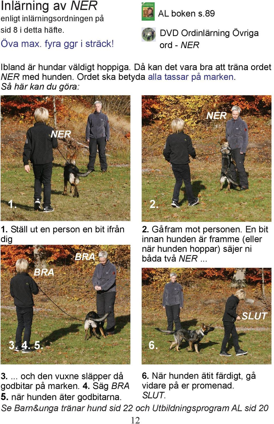 2. 1. Ställ ut en person en bit ifrån dig 2. Gå fram mot personen. En bit innan hunden är framme (eller när hunden hoppar) säjer ni båda två NER... BRA BRA SLUT 3. 4. 5. 6.