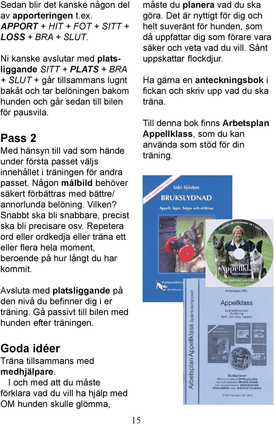 Pass 2 Med hänsyn till vad som hände under första passet väljs innehållet i träningen för andra passet. Någon målbild behöver säkert förbättras med bättre/ annorlunda belöning. Vilken?