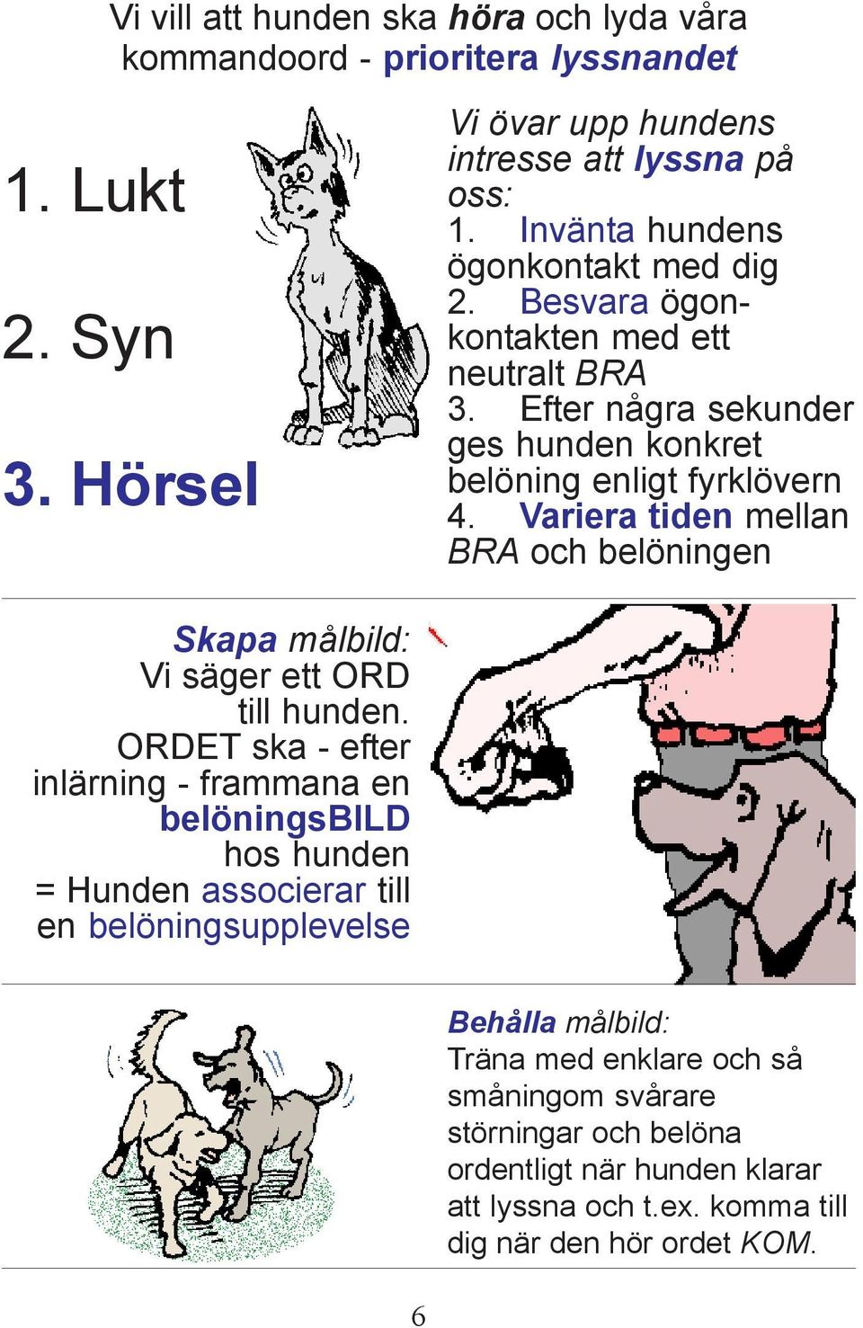 Variera tiden mellan BRA och belöningen Skapa målbild: Vi säger ett ORD till hunden.