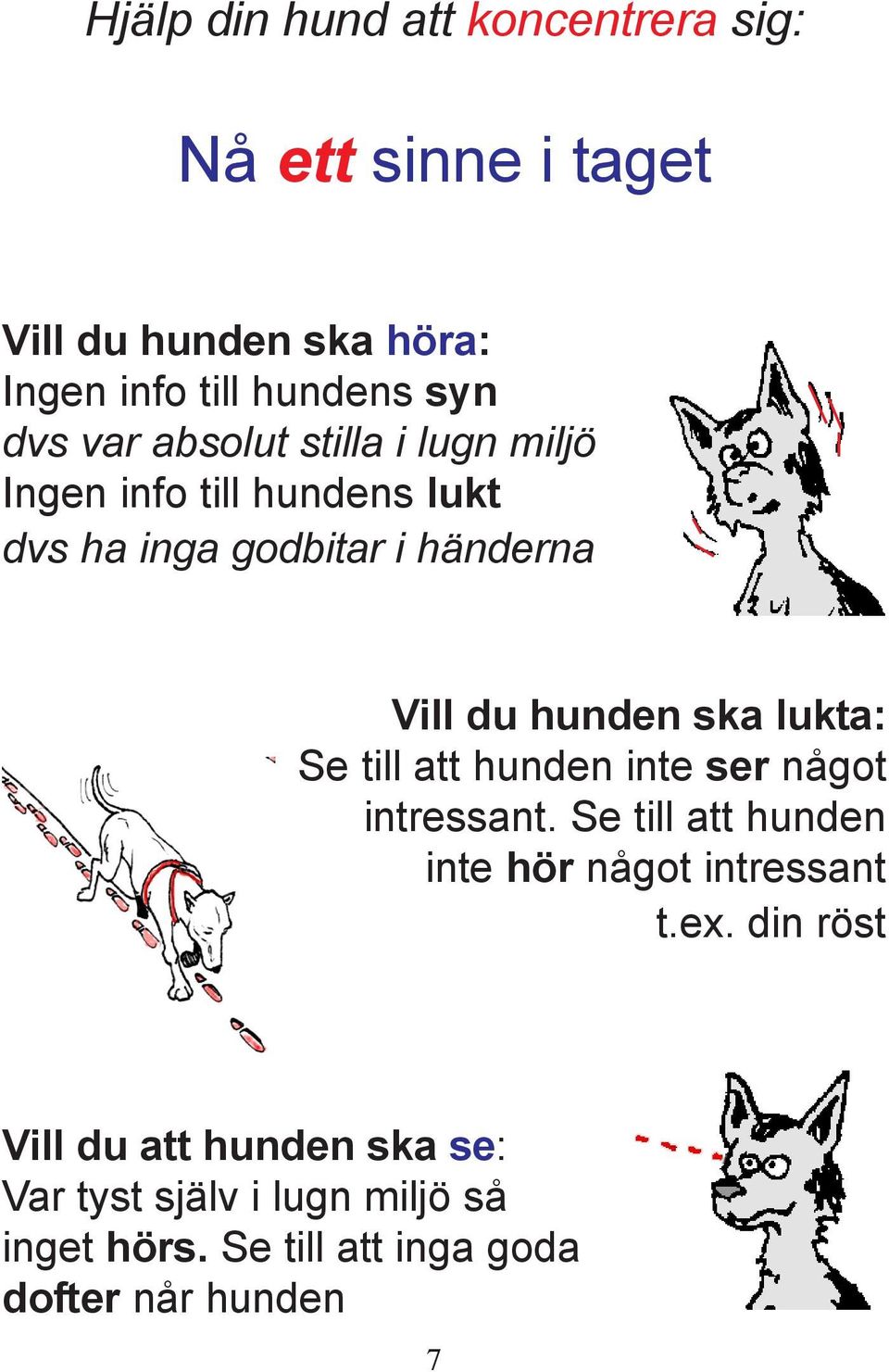 ska lukta: Se till att hunden inte ser något intressant. Se till att hunden inte hör något intressant t.ex.