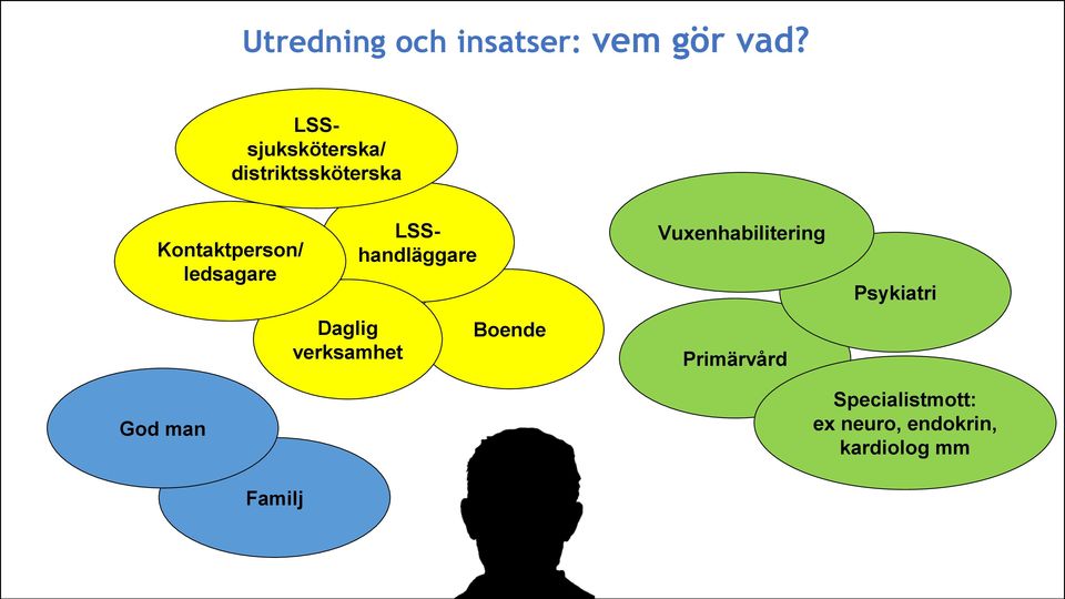 ledsagare Daglig verksamhet LSShandläggare Boende