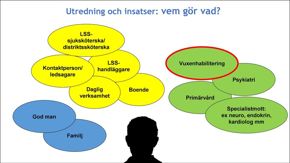 ledsagare Daglig verksamhet LSShandläggare Boende