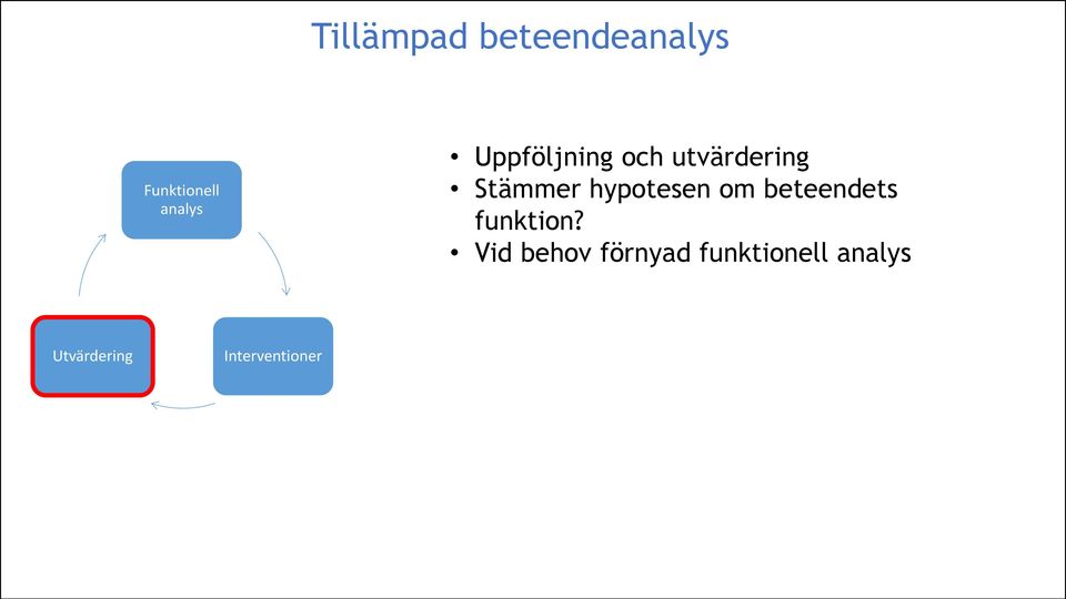 hypotesen om beteendets funktion?