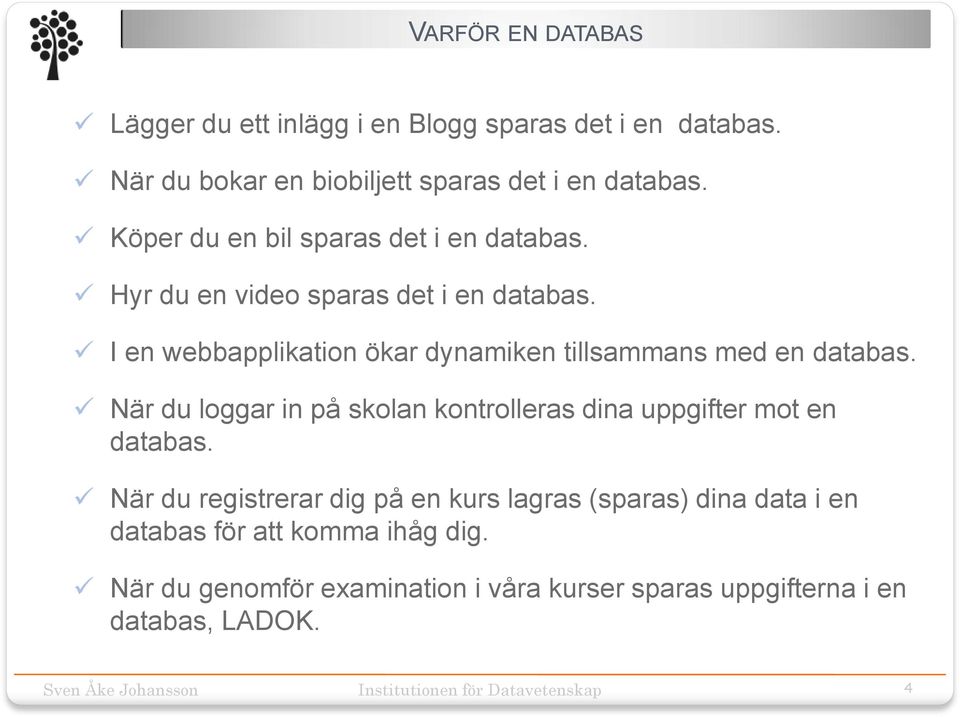 I en webbapplikation ökar dynamiken tillsammans med en databas.