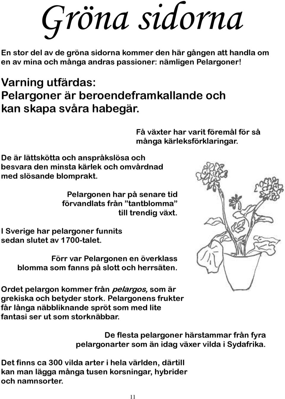 Pelargonen har på senare tid förvandlats från tantblomma till trendig växt. I Sverige har pelargoner funnits sedan slutet av 1700-talet.