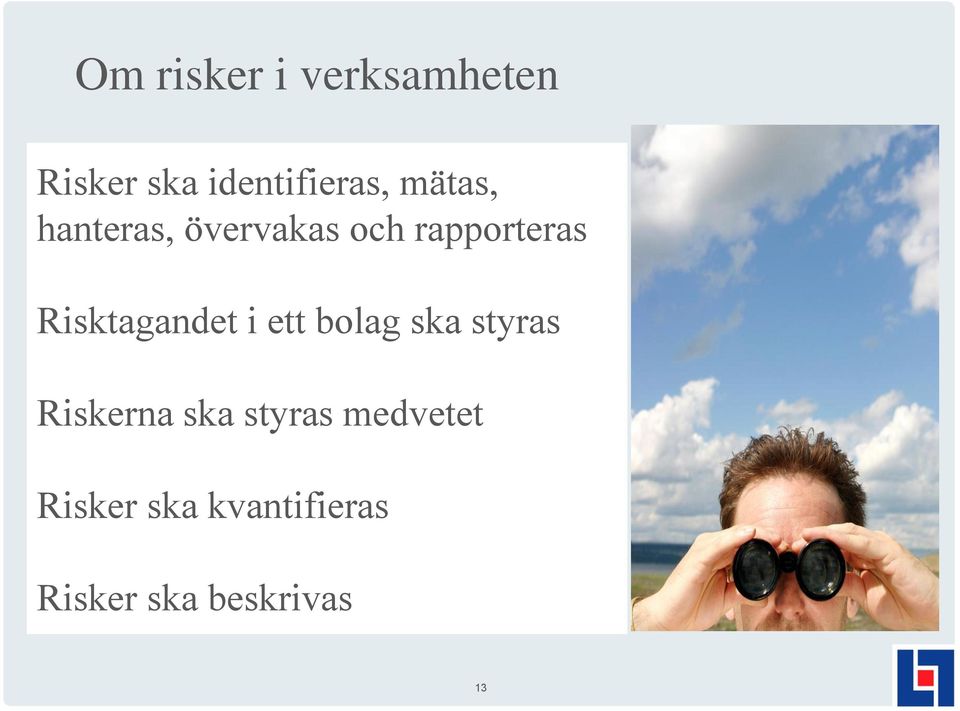 Risktagandet i ett bolag ska styras Riskerna ska