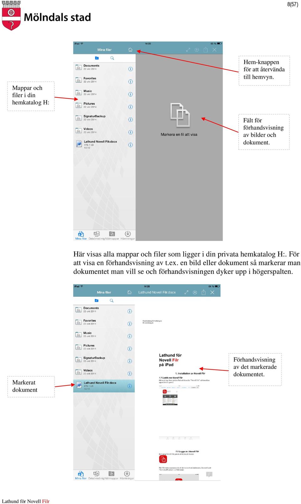 Här visas alla mappar och filer som ligger i din privata hemkatalog H:.