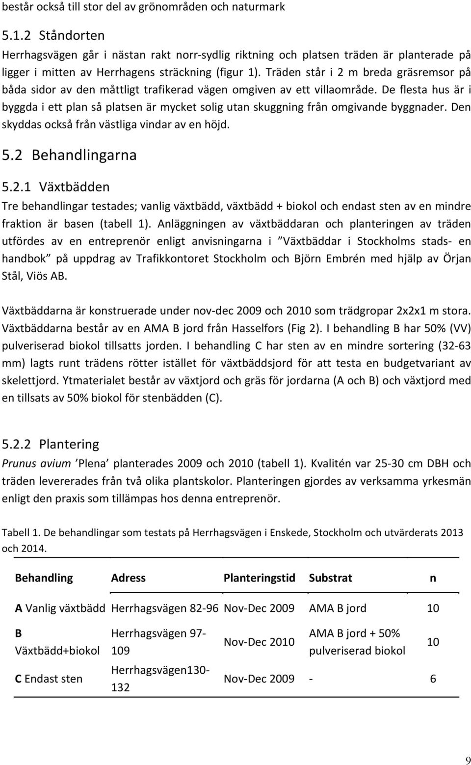 Träden står i 2 m breda gräsremsor på båda sidor av den måttligt trafikerad vägen omgiven av ett villaområde.
