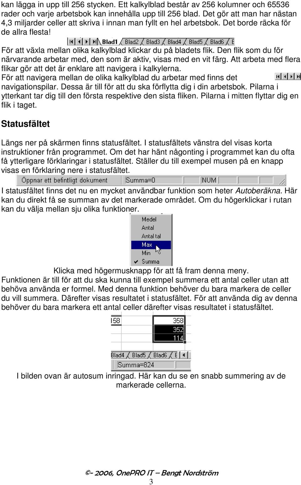 Den flik som du för närvarande arbetar med, den som är aktiv, visas med en vit färg. Att arbeta med flera flikar gör att det är enklare att navigera i kalkylerna.