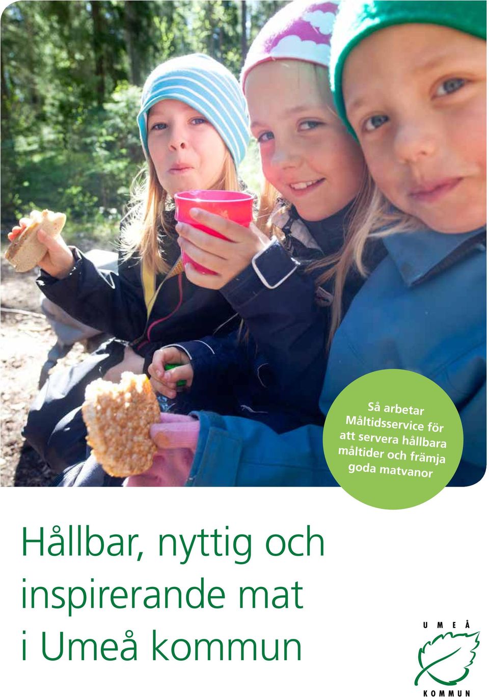 främja goda matvanor Hållbar,