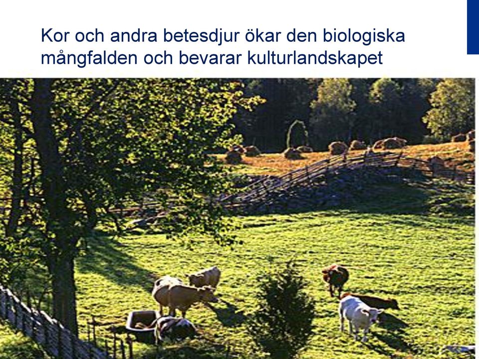 biologiska