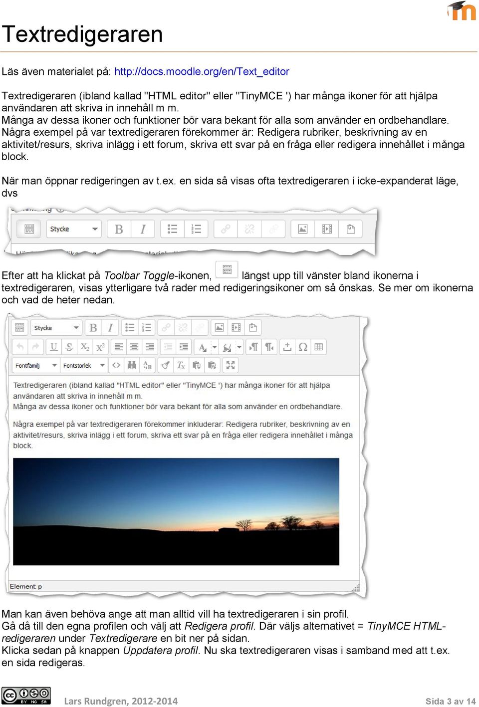 Många av dessa ikoner och funktioner bör vara bekant för alla som använder en ordbehandlare.