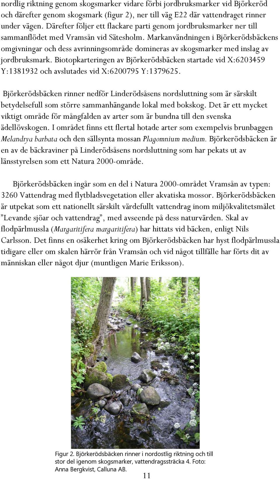 Markanvändningen i Björkerödsbäckens omgivningar och dess avrinningsområde domineras av skogsmarker med inslag av jordbruksmark.