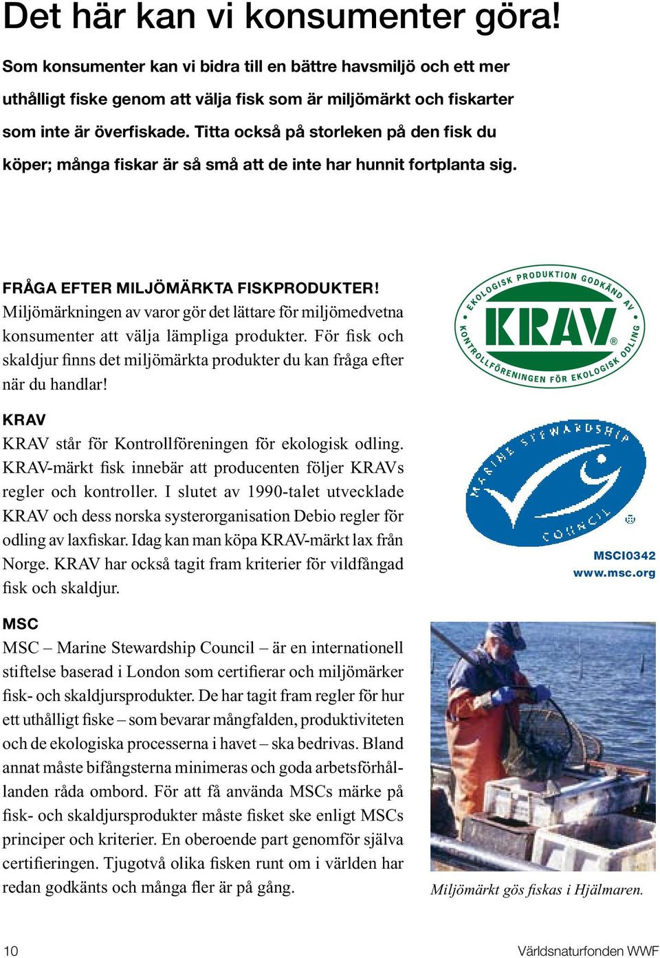 Miljömärkningen av varor gör det lättare för miljömedvetna konsumenter att välja lämpliga produkter. För fisk och skaldjur finns det miljömärkta produkter du kan fråga efter när du handlar!