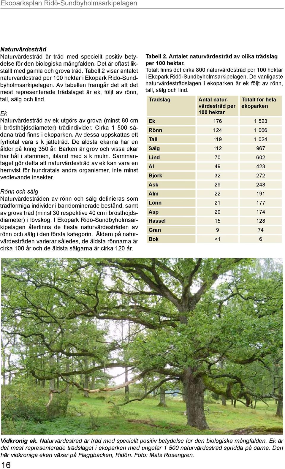 Ek Naturvärdesträd av ek utgörs av grova (minst 80 cm i brösthöjdsdiameter) trädindivider. Cirka 1 500 sådana träd finns i ekoparken. Av dessa uppskattas ett fyrtiotal vara s k jätteträd.