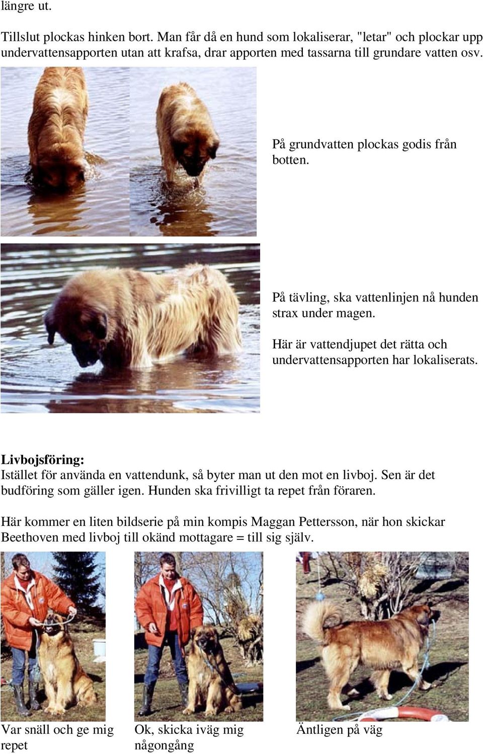 På grundvatten plockas godis från botten. På tävling, ska vattenlinjen nå hunden strax under magen. Här är vattendjupet det rätta och undervattensapporten har lokaliserats.