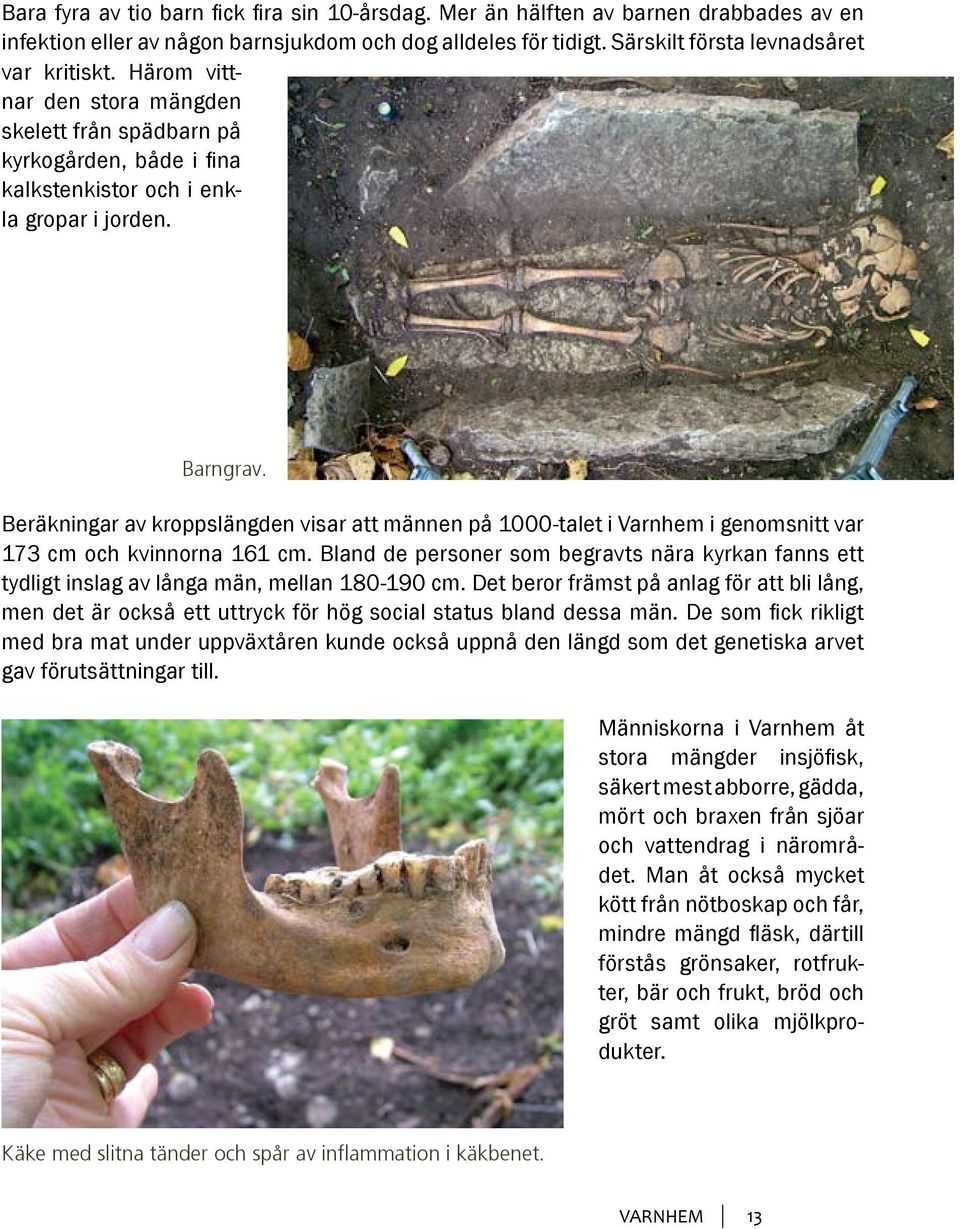 Beräkningar av kroppslängden visar att männen på 1000-talet i Varnhem i genomsnitt var 173 cm och kvinnorna 161 cm.