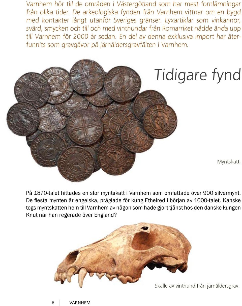 En del av denna exklusiva import har återfunnits som gravgåvor på järnåldersgravfälten i Varnhem. Tidigare fynd Myntskatt.