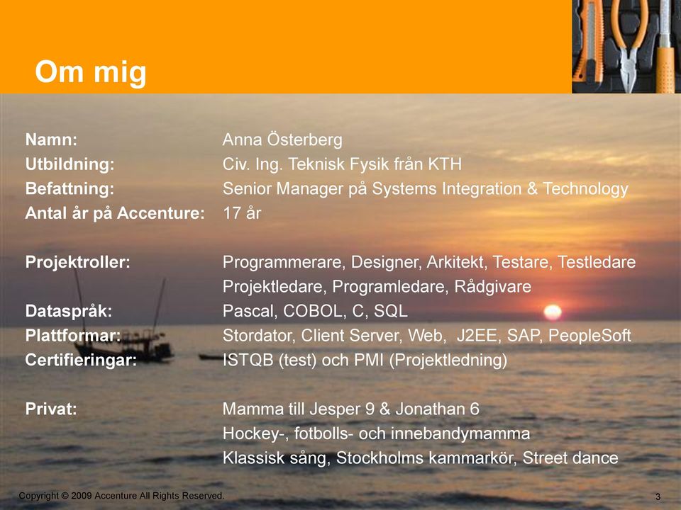 Programmerare, Designer, Arkitekt, Testare, Testledare Projektledare, Programledare, Rådgivare Pascal, COBOL, C, SQL Stordator, Client