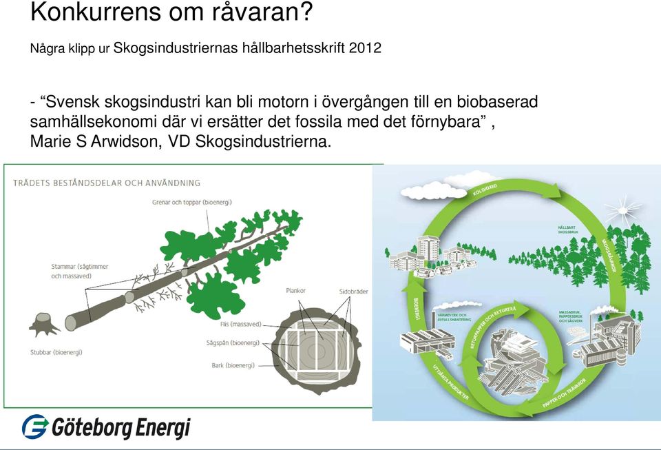 Svensk skogsindustri kan bli motorn i övergången till en