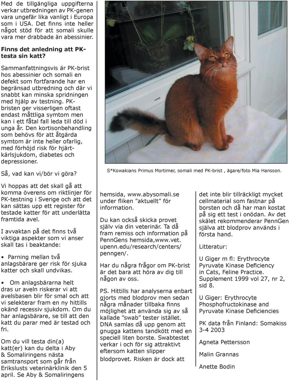 Sammanfattningsvis är PK-brist hos abessinier och somali en defekt som fortfarande har en begränsad utbredning och där vi snabbt kan minska spridningen med hjälp av testning.