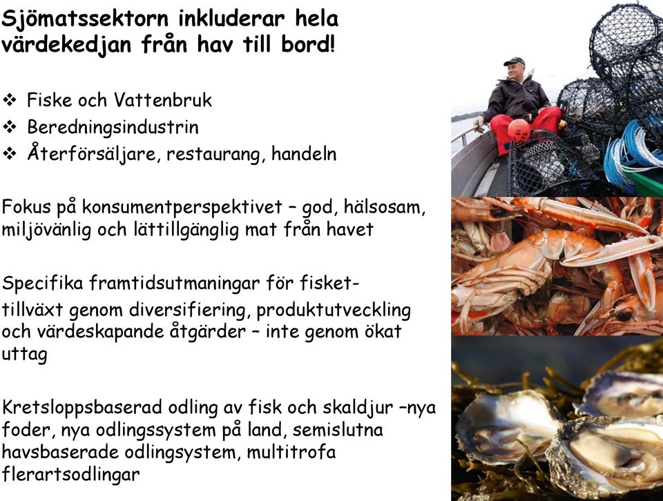 miljövänlig och lättillgänglig mat från havet Specifika framtidsutmaningar för fisket- tillväxt genom diversifiering,