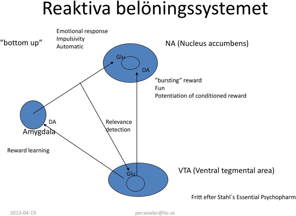 Potentiation of conditioned reward DA Amygdala Relevance detection