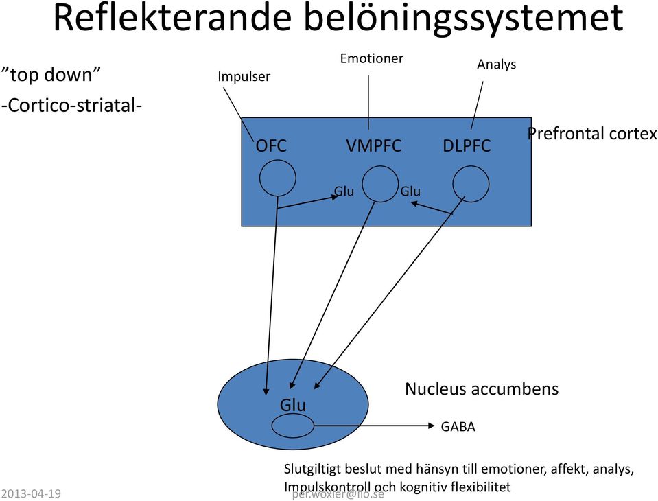 Glu Glu Nucleus accumbens GABA Slutgiltigt beslut med hänsyn