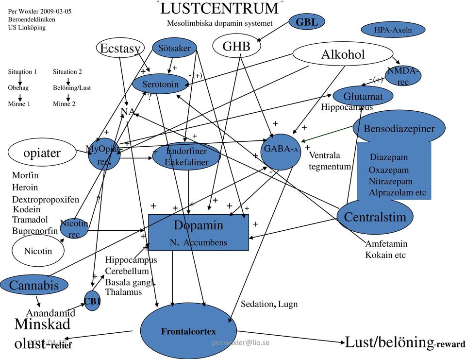 Thalamus CB1 Anandamid NA LUSTCENTRUM Serotonin? Mesolimbiska dopamin systemet Sötsaker - Endorfiner Enkefaliner () Dopamin N.