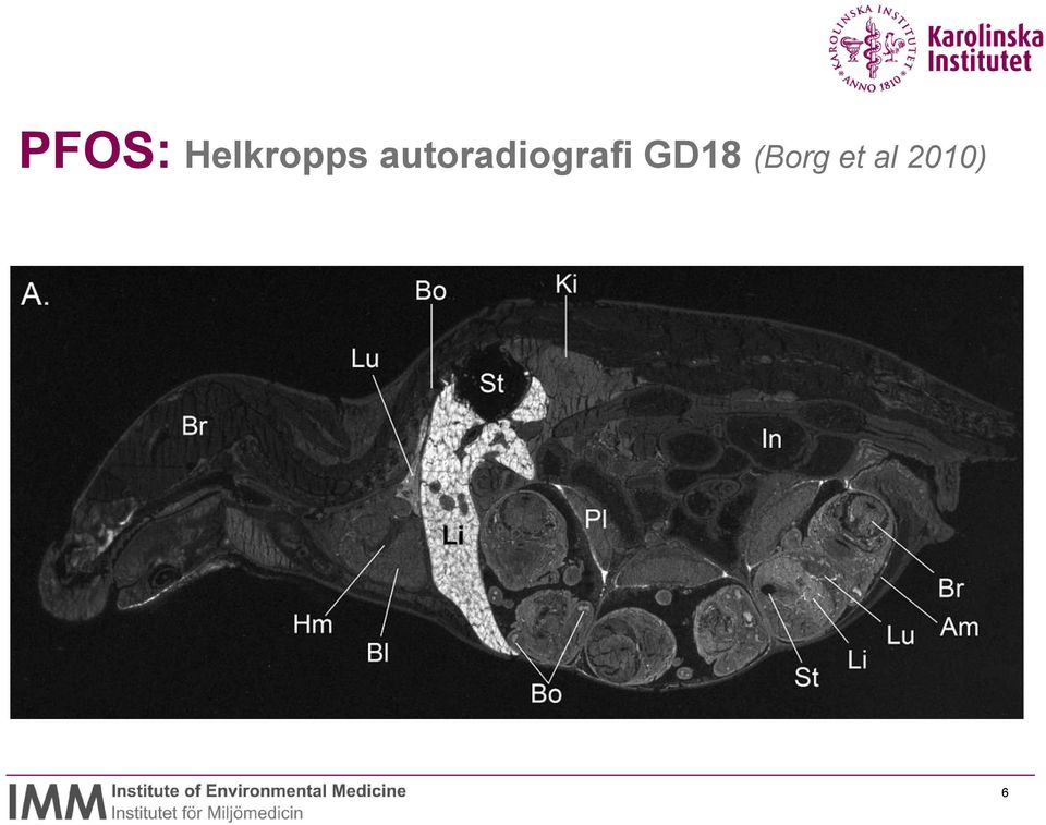GD18 (Borg et al