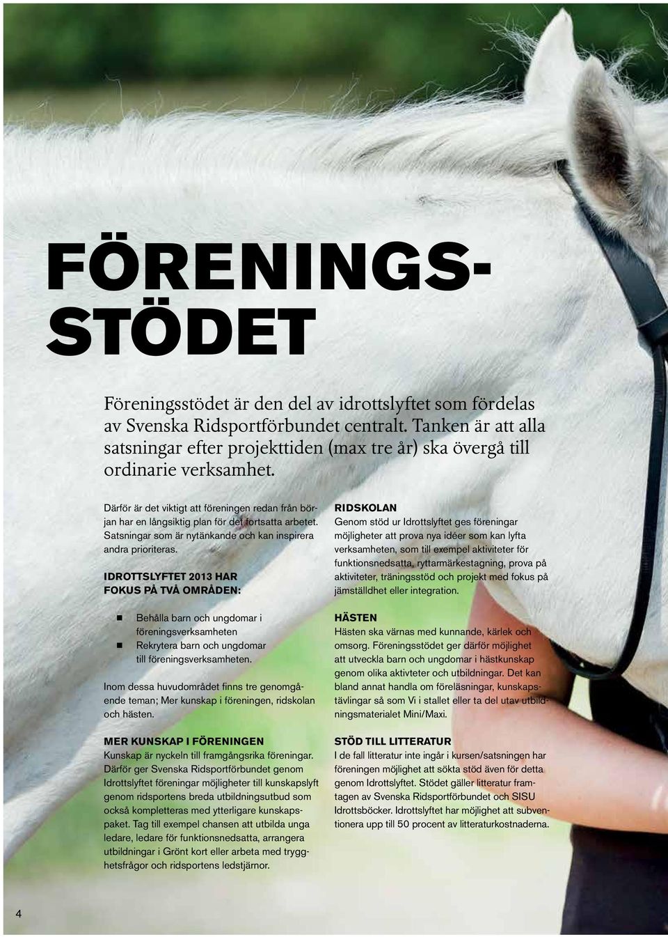 Därför är det viktigt att föreningen redan från början har en långsiktig plan för det fortsatta arbetet. Satsningar som är nytänkande och kan inspirera andra prioriteras.