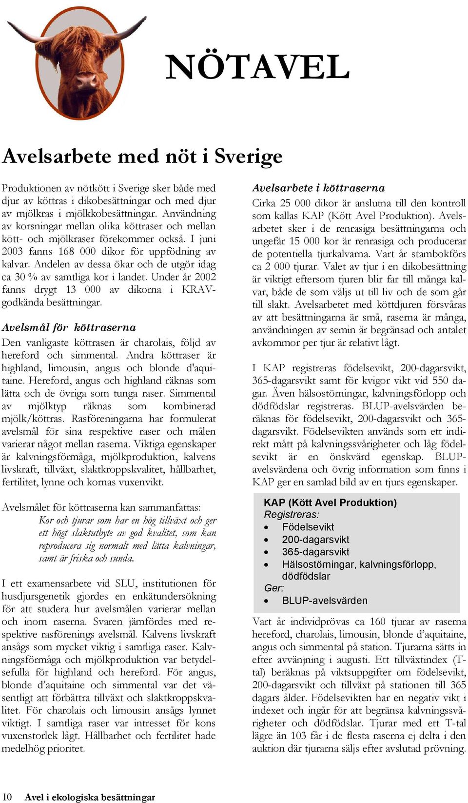 Andelen av dessa ökar och de utgör idag ca 30 % av samtliga kor i landet. Under år 2002 fanns drygt 13 000 av dikorna i KRAVgodkända besättningar.