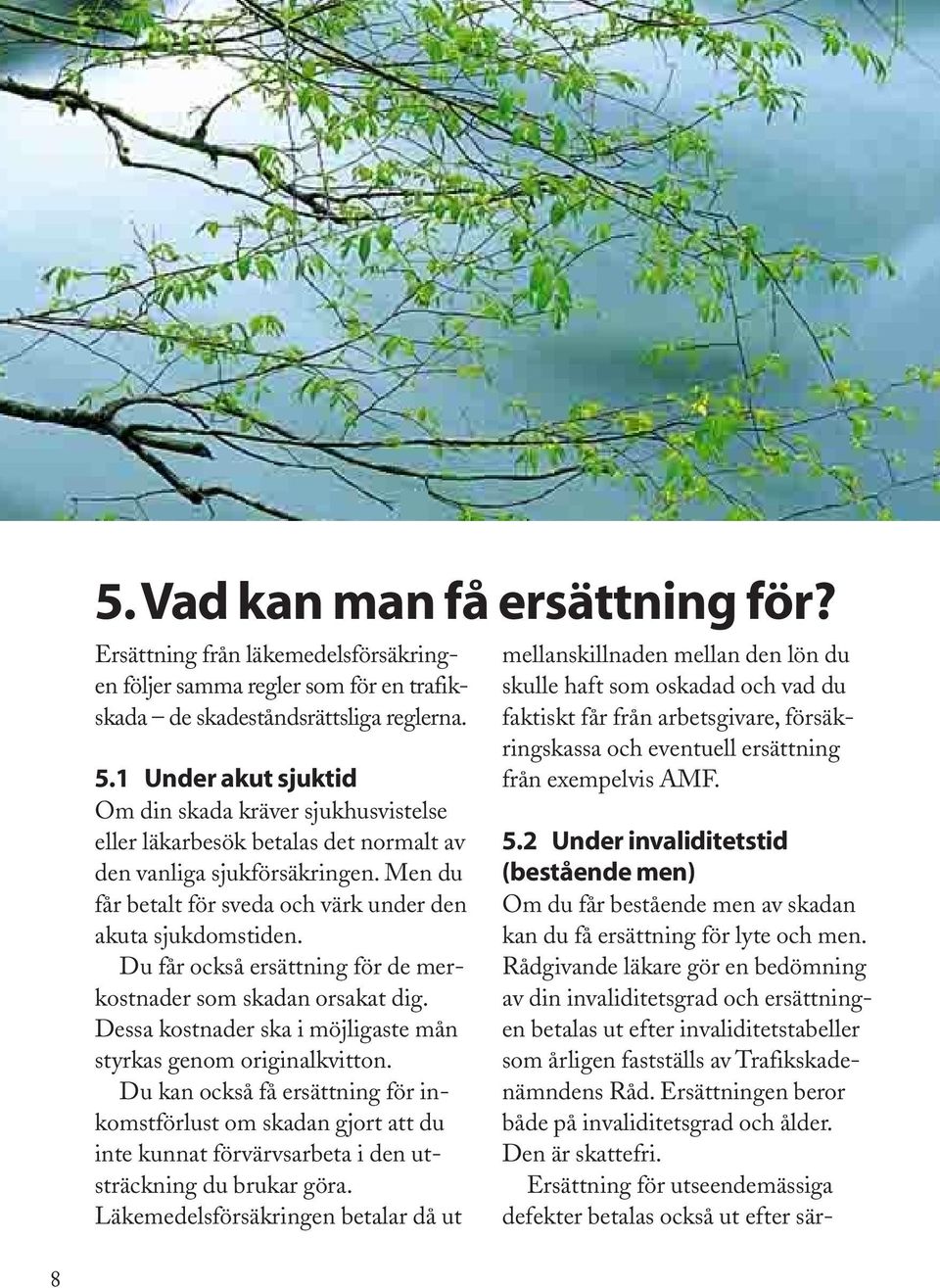 Du får också ersättning för de merkostnader som skadan orsakat dig. Dessa kostnader ska i möjligaste mån styrkas genom originalkvitton.