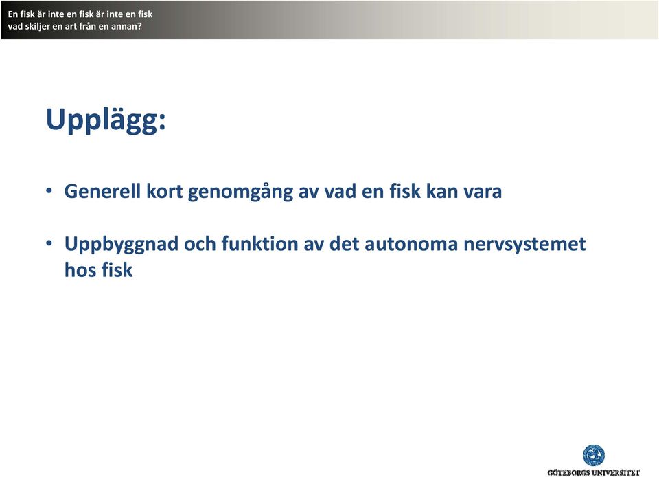 det autonoma nervsystemet Uppbyggnad och