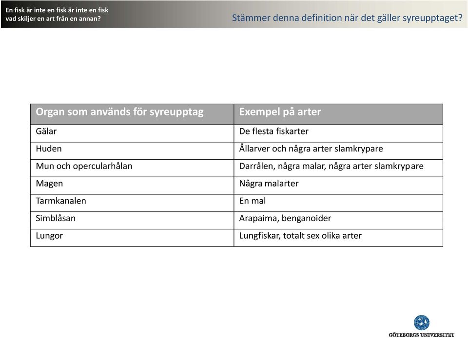 Simblåsan Lungor Exempel på arter Deflesta fiskarter Ållarver och några arter