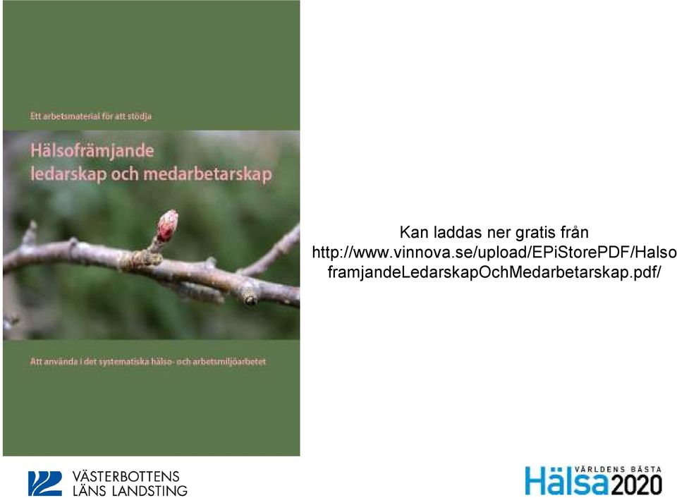 se/upload/epistorepdf/halso