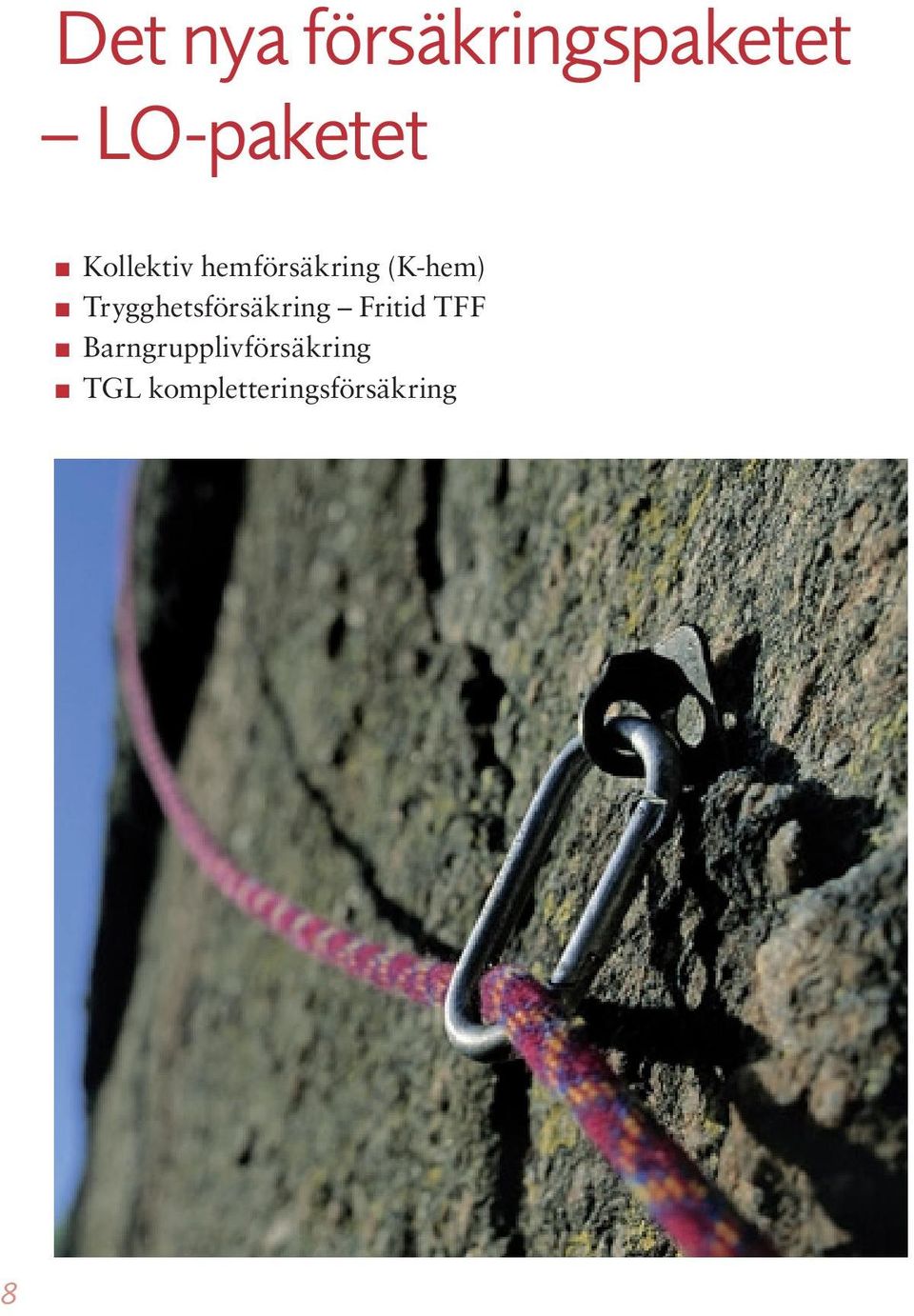Trygghetsförsäkring Fritid TFF n