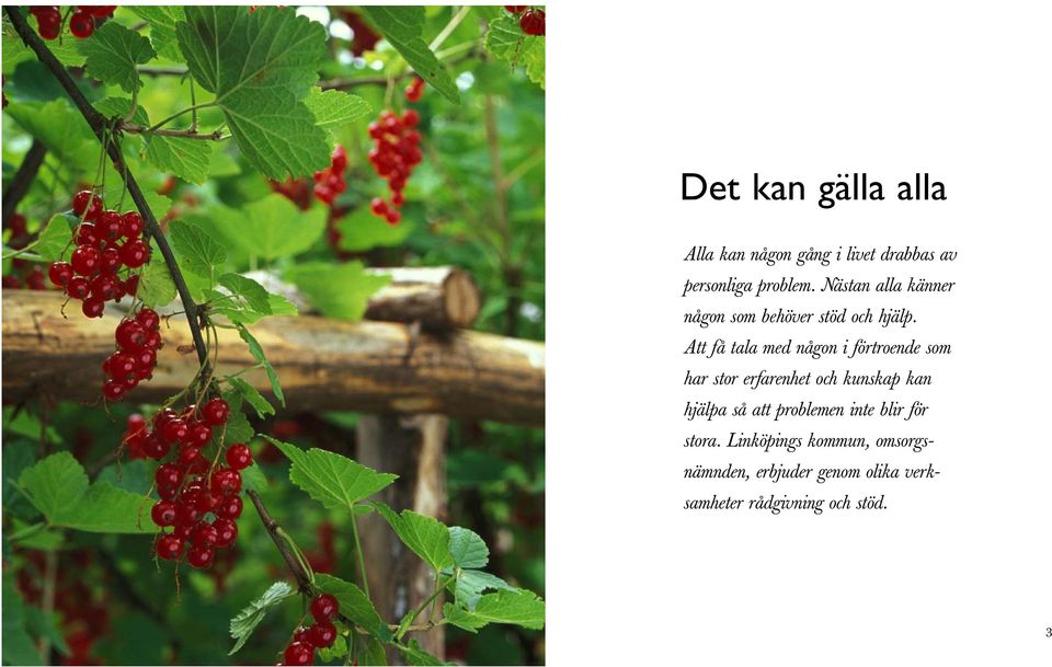 Att få tala med någon i förtroende som har stor erfarenhet och kunskap kan hjälpa så