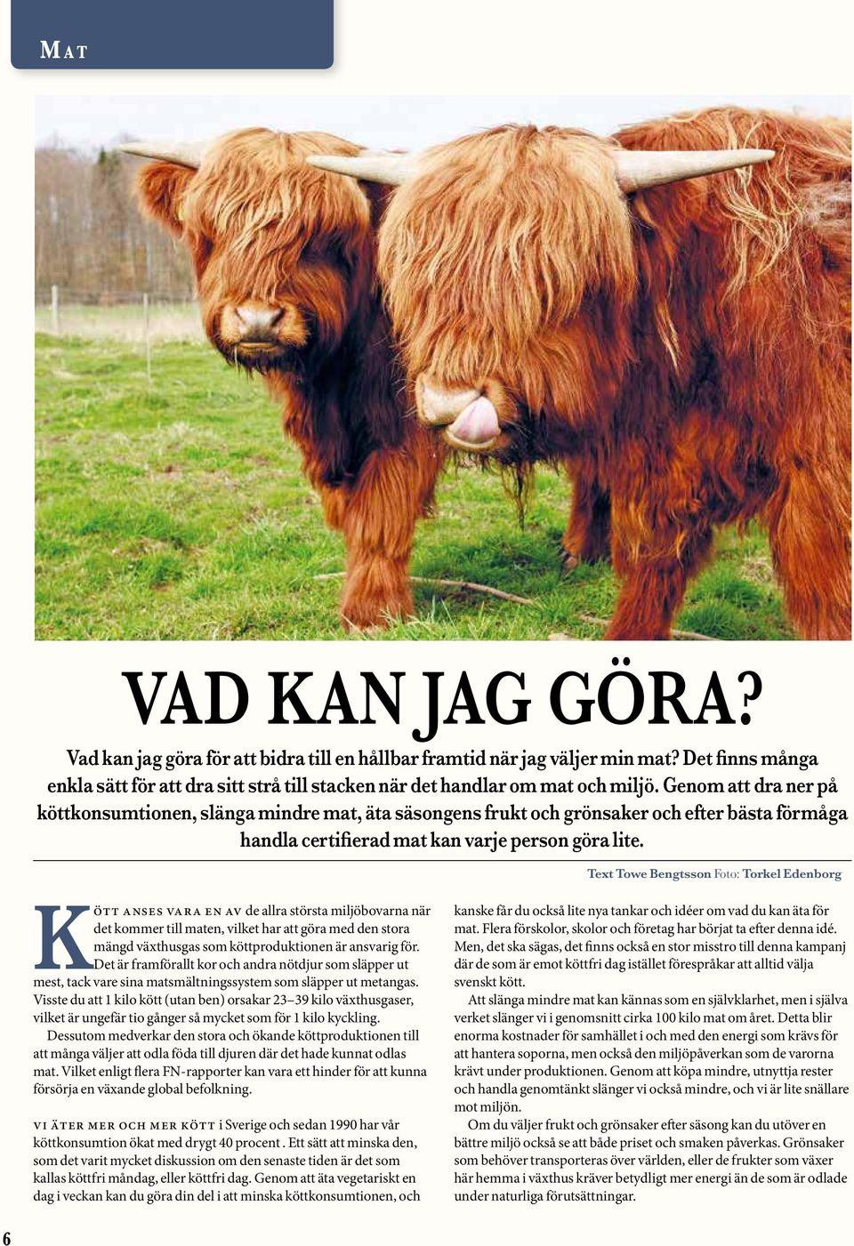 Text Towe Bengtsson Foto: Torkel Edenborg Kött anses vara en av de allra största miljöbovarna när det kommer till maten, vilket har att göra med den stora mängd växthusgas som köttproduktionen är