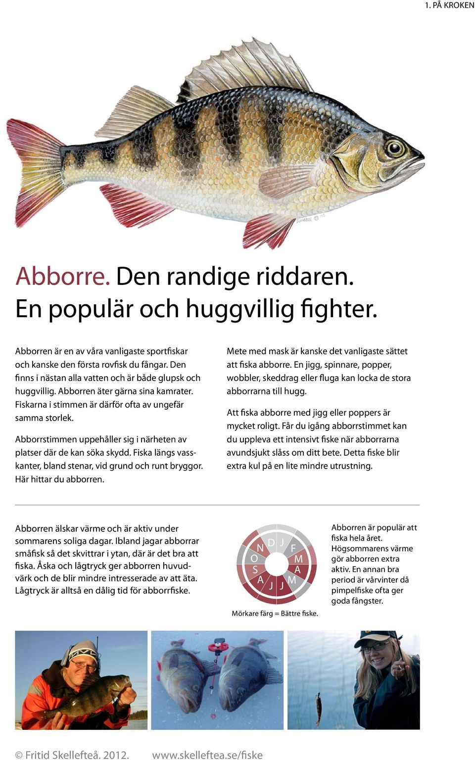 Abborrstimmen uppehåller sig i närheten av platser där de kan söka skydd. Fiska längs vasskanter, bland stenar, vid grund och runt bryggor. Här hittar du abborren.