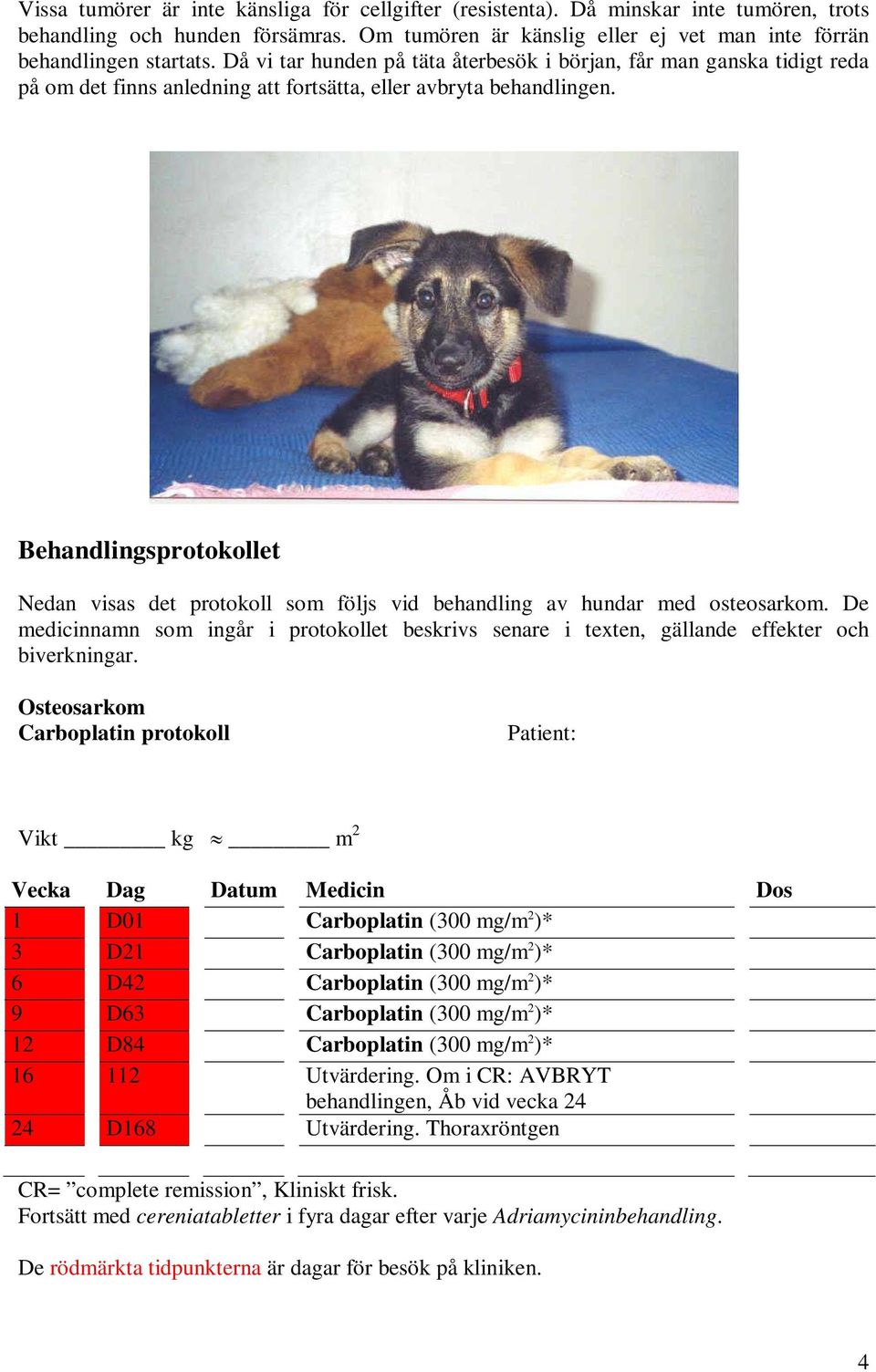 Behandlingsprotokollet Nedan visas det protokoll som följs vid behandling av hundar med osteosarkom.