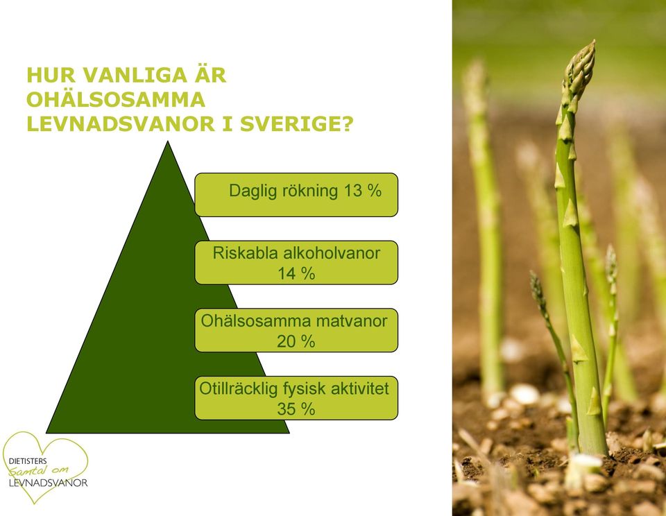 Daglig rökning 13 % Riskabla