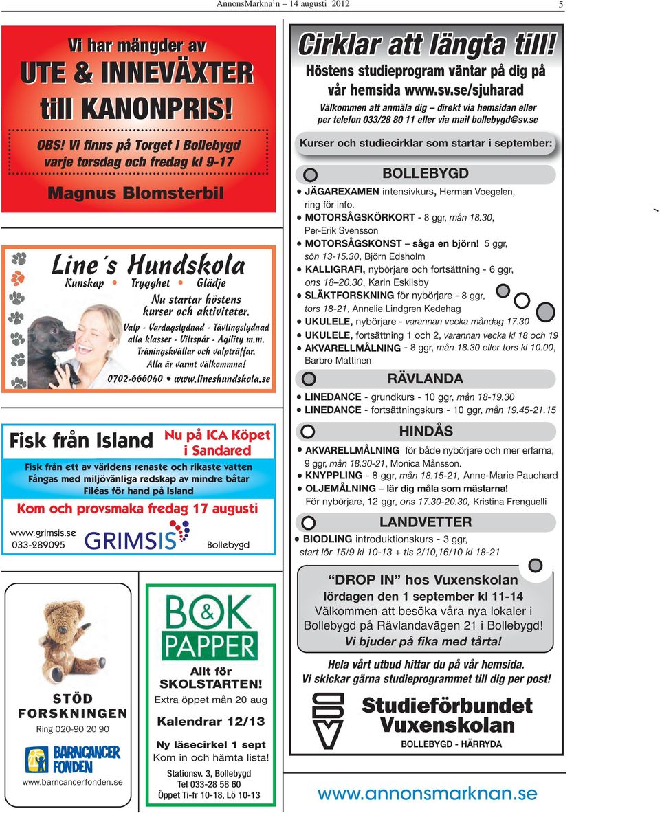 Valp - Vardagslydnad - Tävlingslydnad alla klasser - Viltspår - Agility m.m. Träningskvällar och valpträffar. Alla är varmt välkommna! 0702-666040 www.lineshundskola.