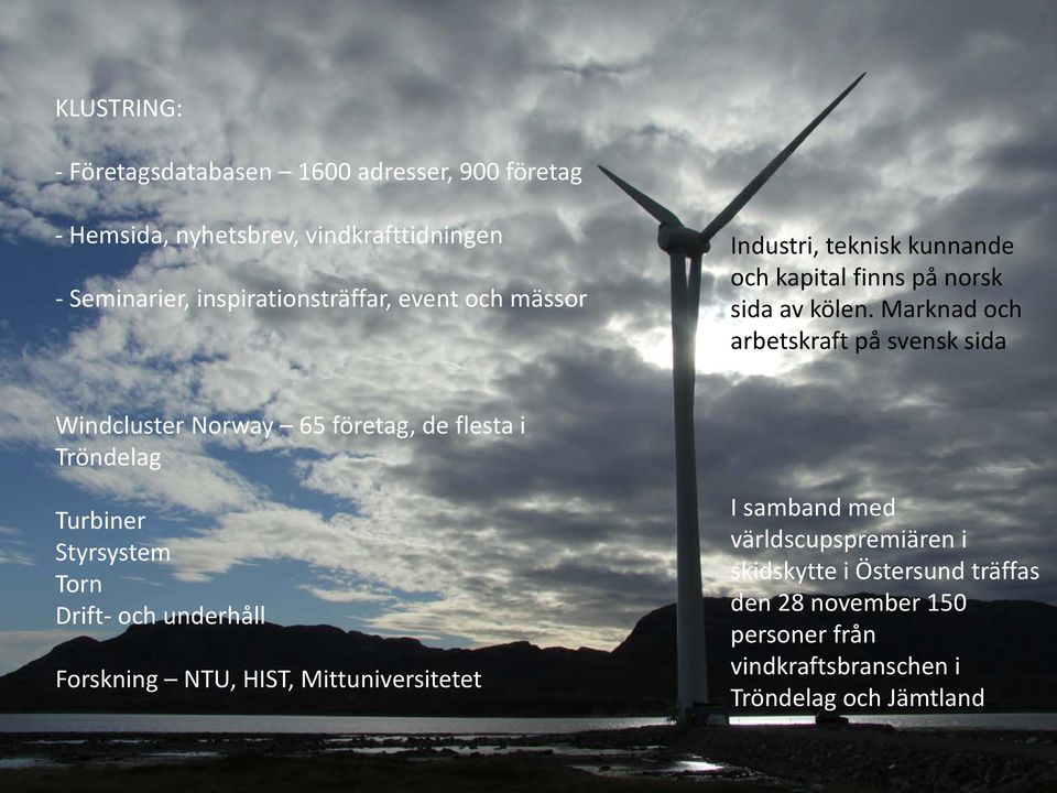 Marknad och arbetskraft på svensk sida Windcluster Norway 65 företag, de flesta i Tröndelag Turbiner Styrsystem Torn Drift- och