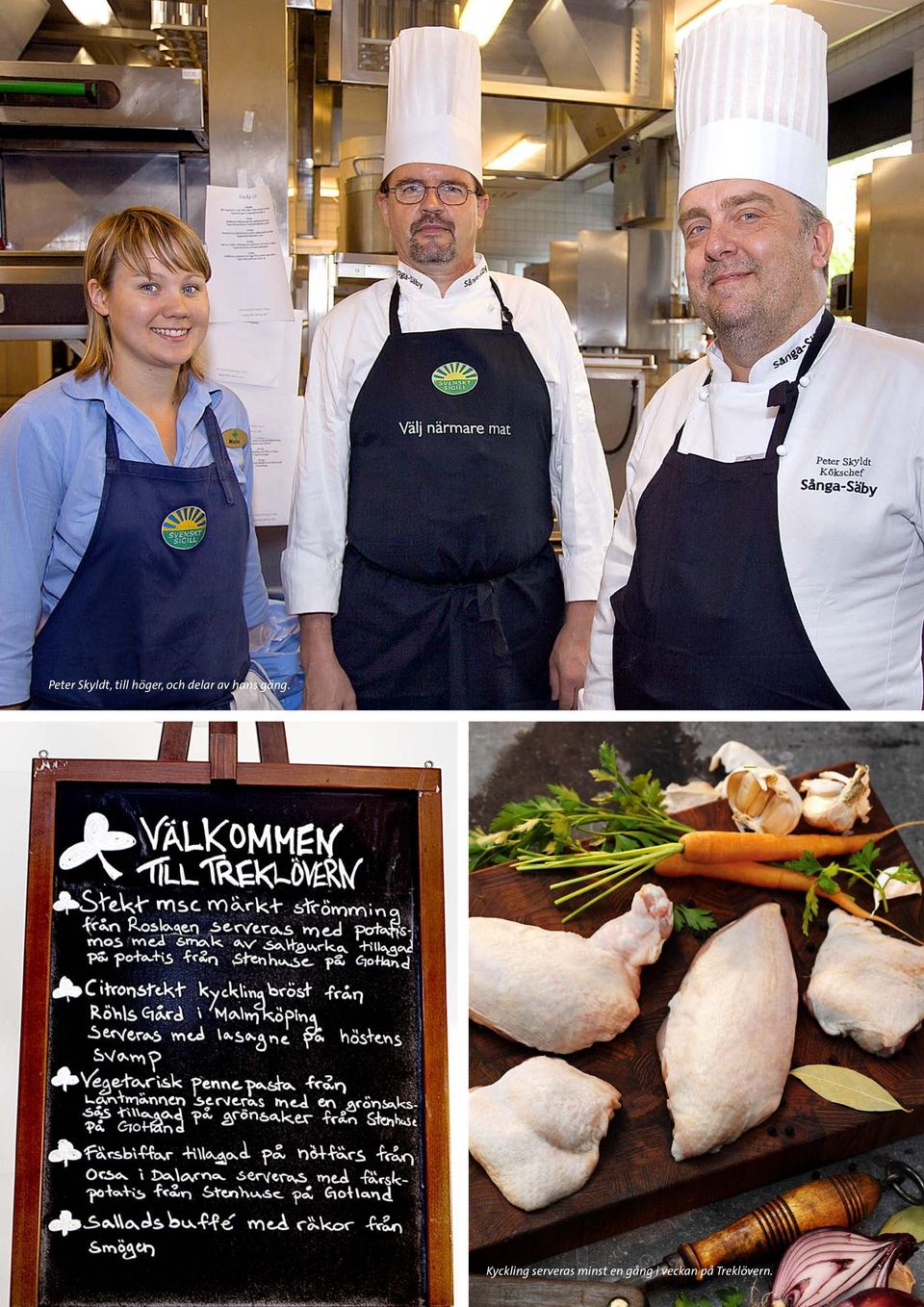 FOODNEWS 4 2012 5 Kyckling