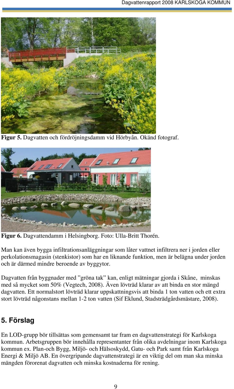 mindre beroende av byggytor. Dagvatten från byggnader med gröna tak kan, enligt mätningar gjorda i Skåne, minskas med så mycket som 50% (Vegtech, 2008).