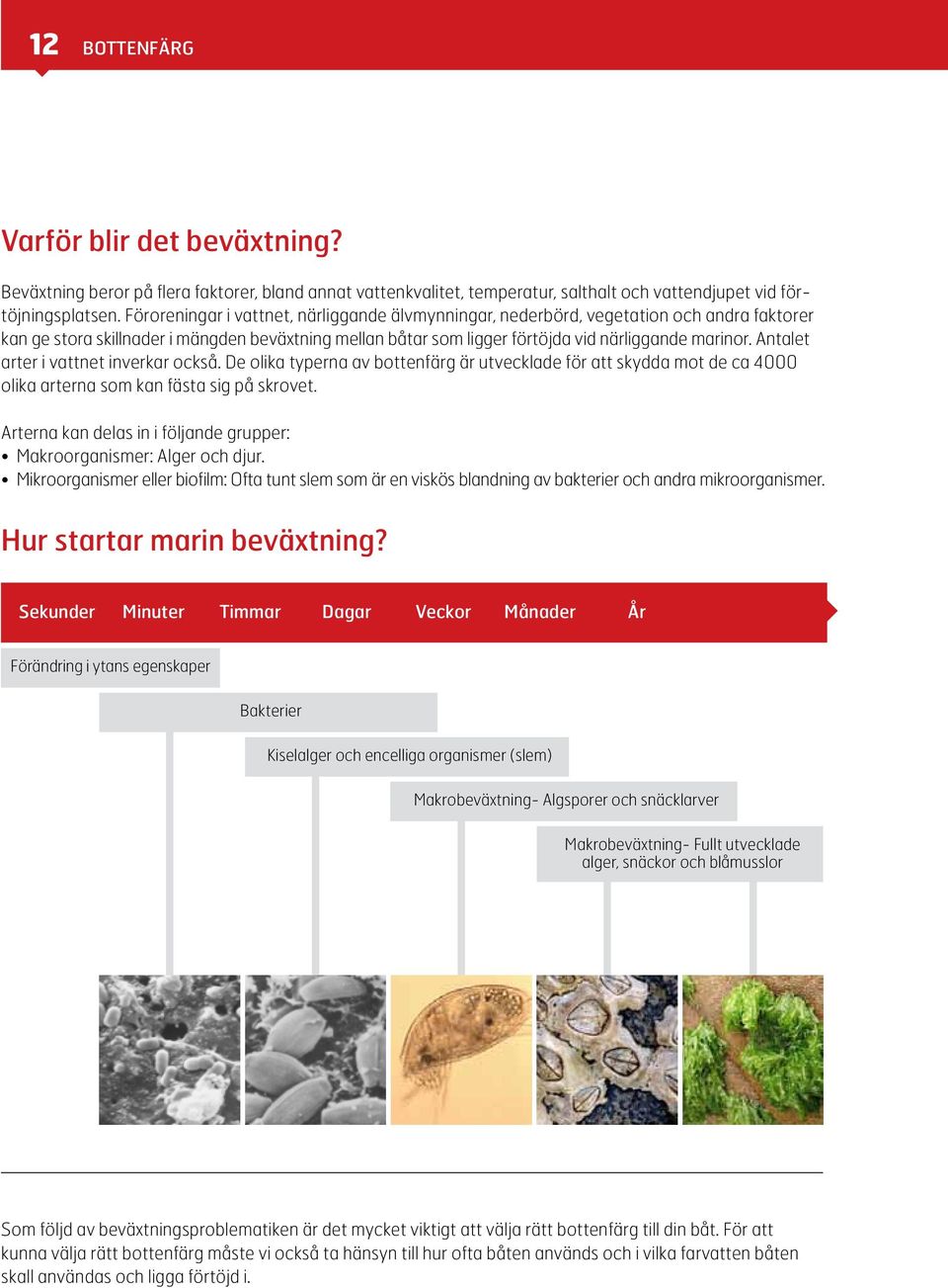 Antalet arter i vattnet inverkar också. De olika typerna av bottenfärg är utvecklade för att skydda mot de ca 4000 olika arterna som kan fästa sig på skrovet.