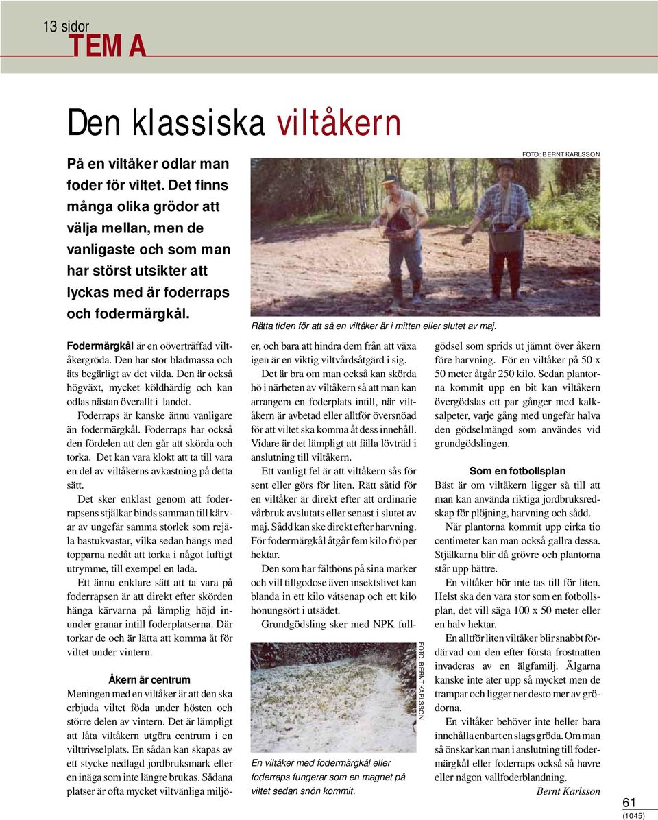 Den har stor bladmassa och äts begärligt av det vilda. Den är också högväxt, mycket köldhärdig och kan odlas nästan överallt i landet. Foderraps är kanske ännu vanligare än fodermärgkål.